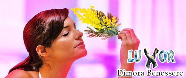 festadelladonna