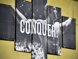CONQUER